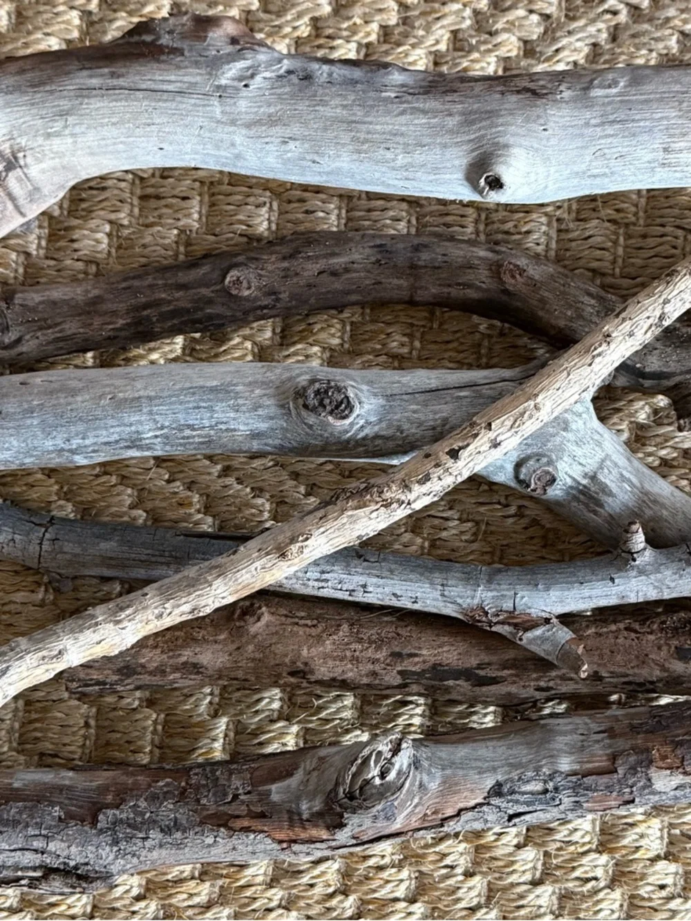 Natural Driftwood Bundle of 7 Neutral Wood South Florida Beach Wedding Decor
